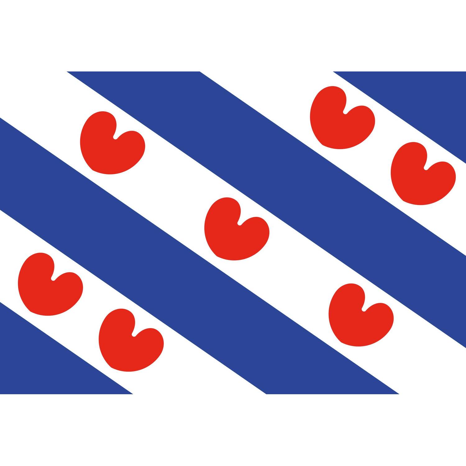 Vlag Friesland 70x100cm
