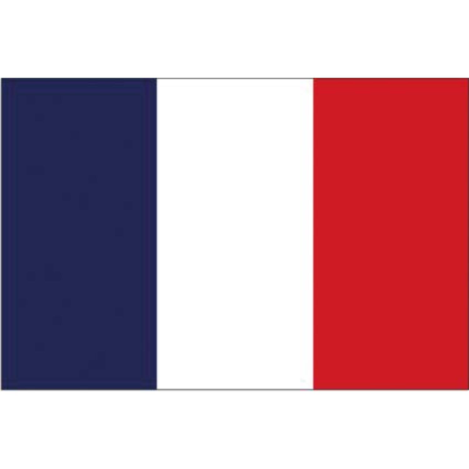 Vlag Frankrijk 100x150cm