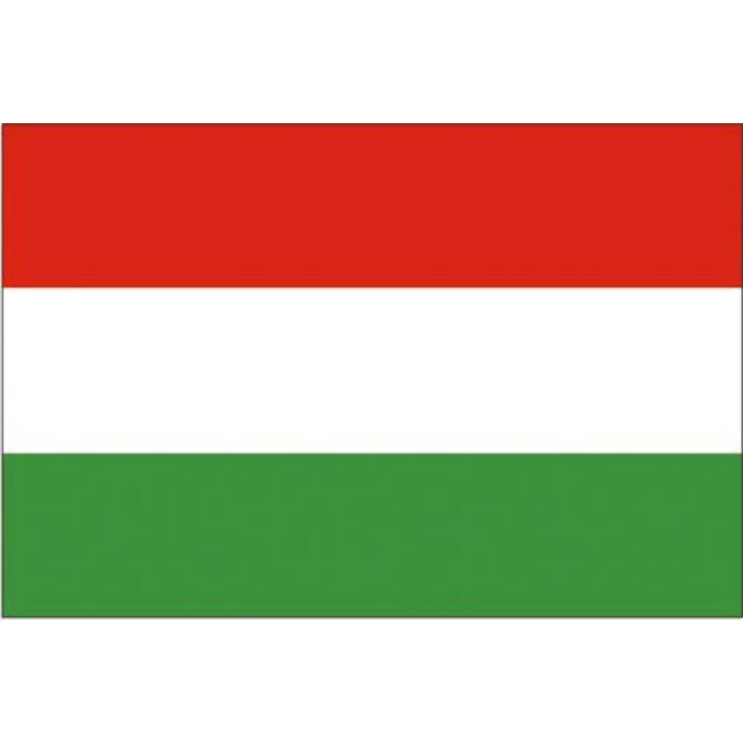 Vlag Hongarije 70x100cm