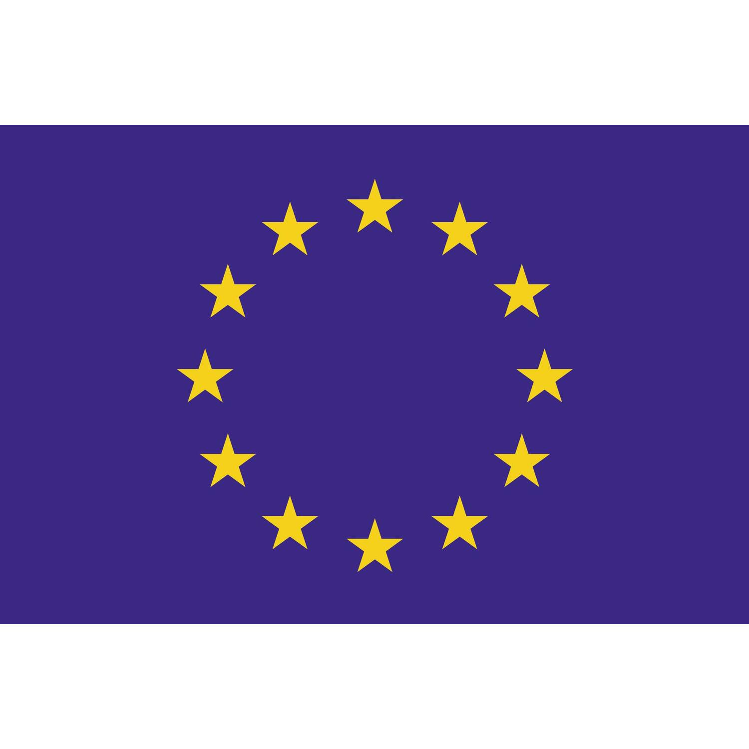 EU vlag 100x150cm