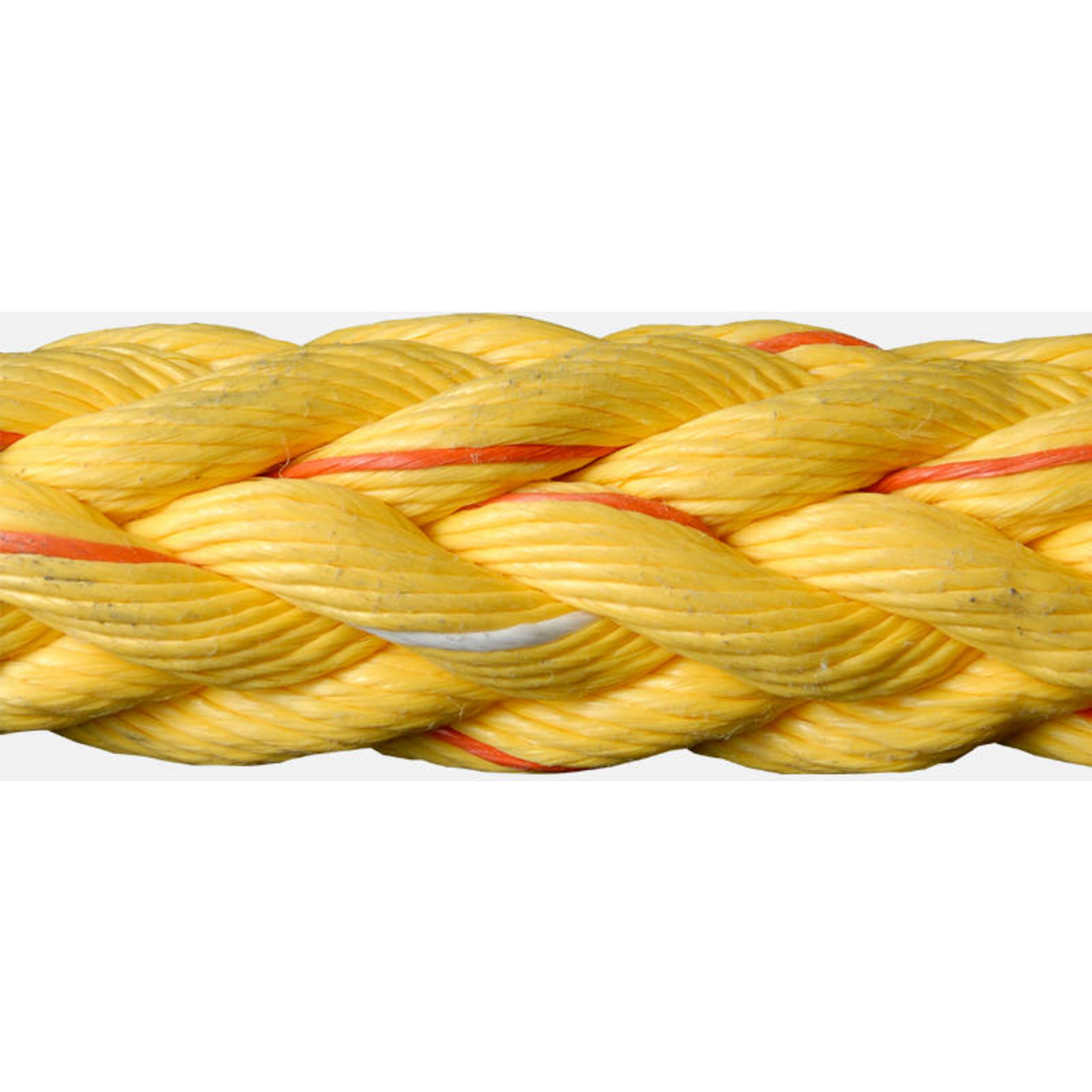 Tipto Twelve 16mm 25mtr + 2 paalogen