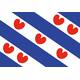 Vlag Friesland 70x100cm