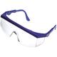 Veiligheidbril Blue 569