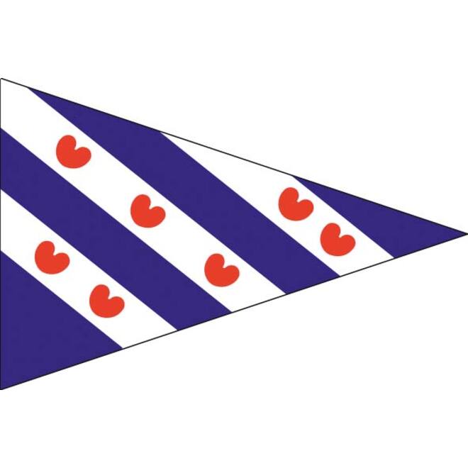 Friese puntvlag 30x45cm