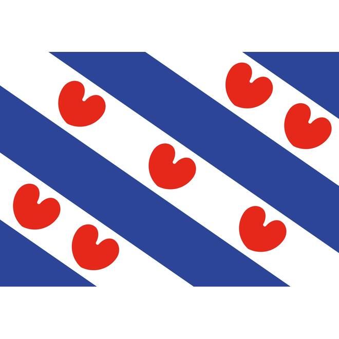 Vlag Friesland 70x100cm