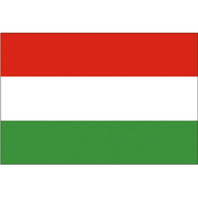 Vlag Hongarije 70x100cm