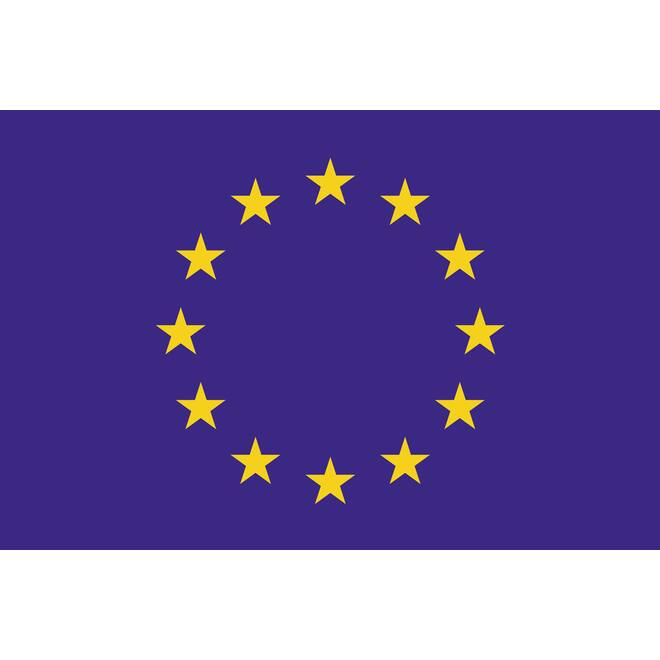 EU vlag 100x150cm