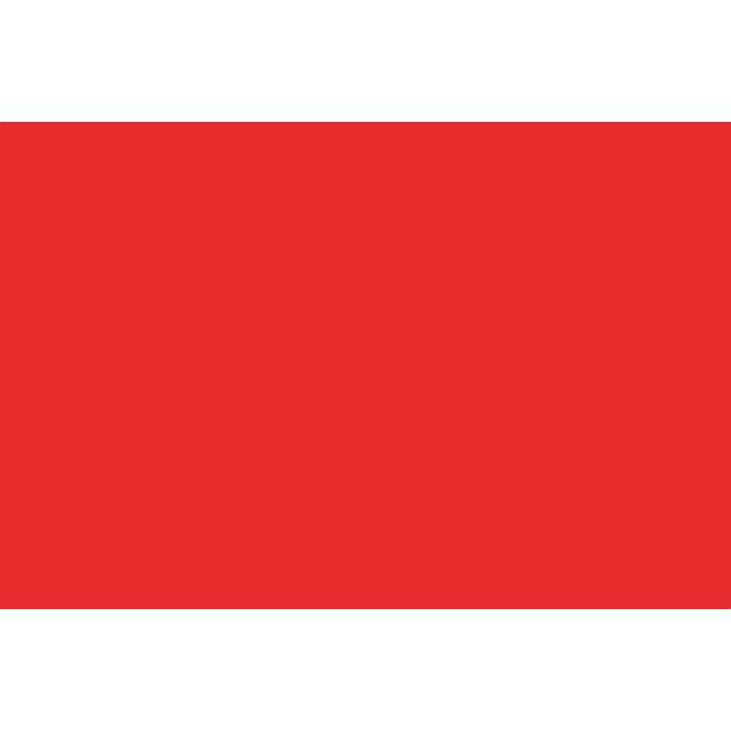 Vlag Rood 100x150cm