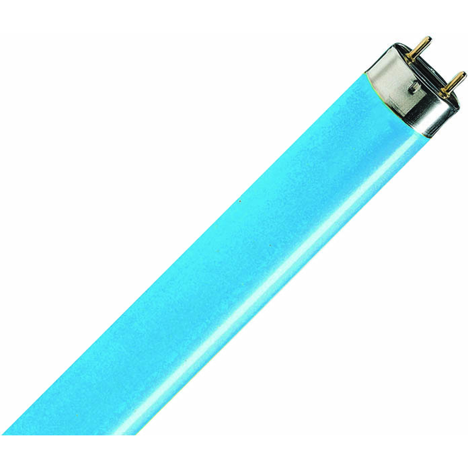 TLD Buis 18/blauw