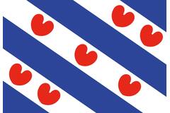 Vlag Friesland 70x100cm