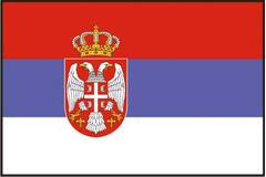 Vlag Servie 100x150cm