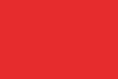 Vlag Rood 100x150cm