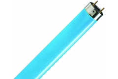 TLD Buis 18/blauw